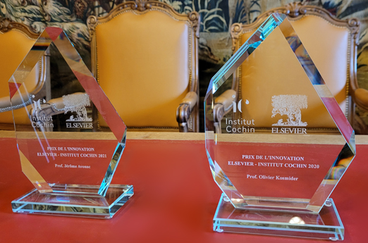 Prix de l’Innovation Elsevier – Institut Cochin 2020-2021. Olivier Kosmider et Jérôme Avouac récompensés